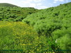 bahar_s_zia_86 (10)_resize.jpg
